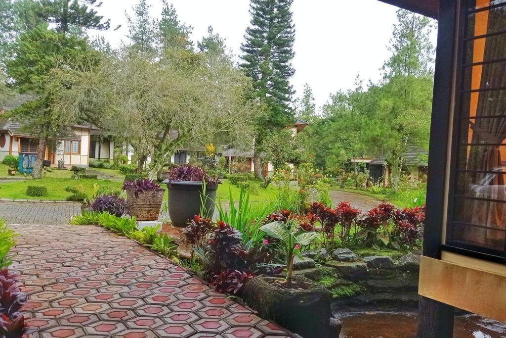 Designer Villa Tokyo Cianjur Zewnętrze zdjęcie