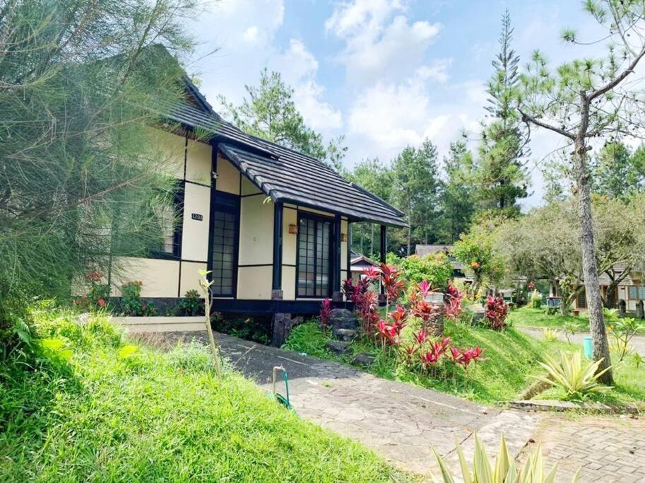 Designer Villa Tokyo Cianjur Zewnętrze zdjęcie