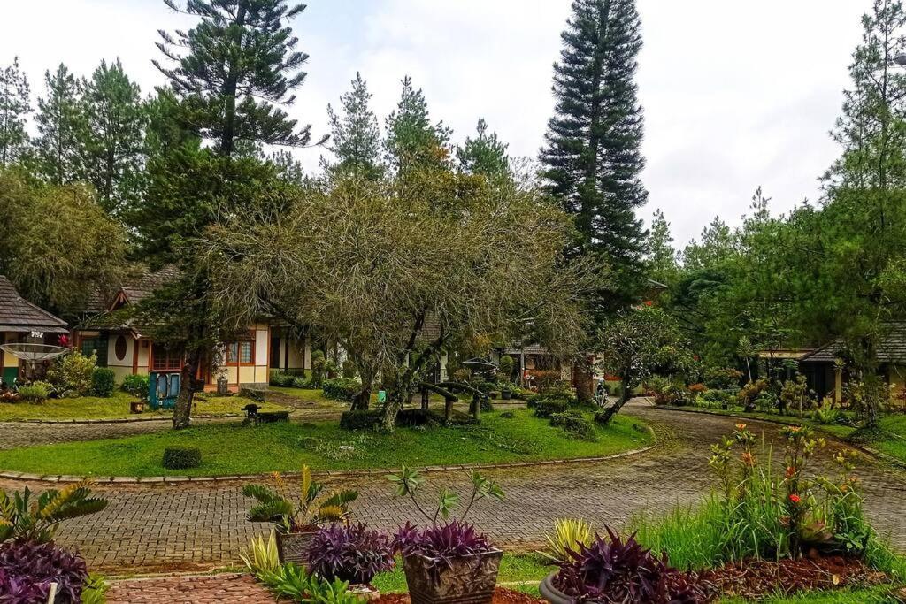 Designer Villa Tokyo Cianjur Zewnętrze zdjęcie