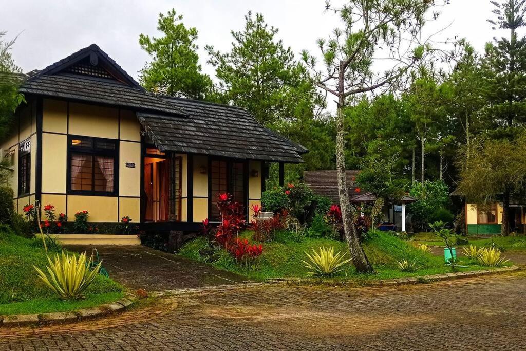 Designer Villa Tokyo Cianjur Zewnętrze zdjęcie
